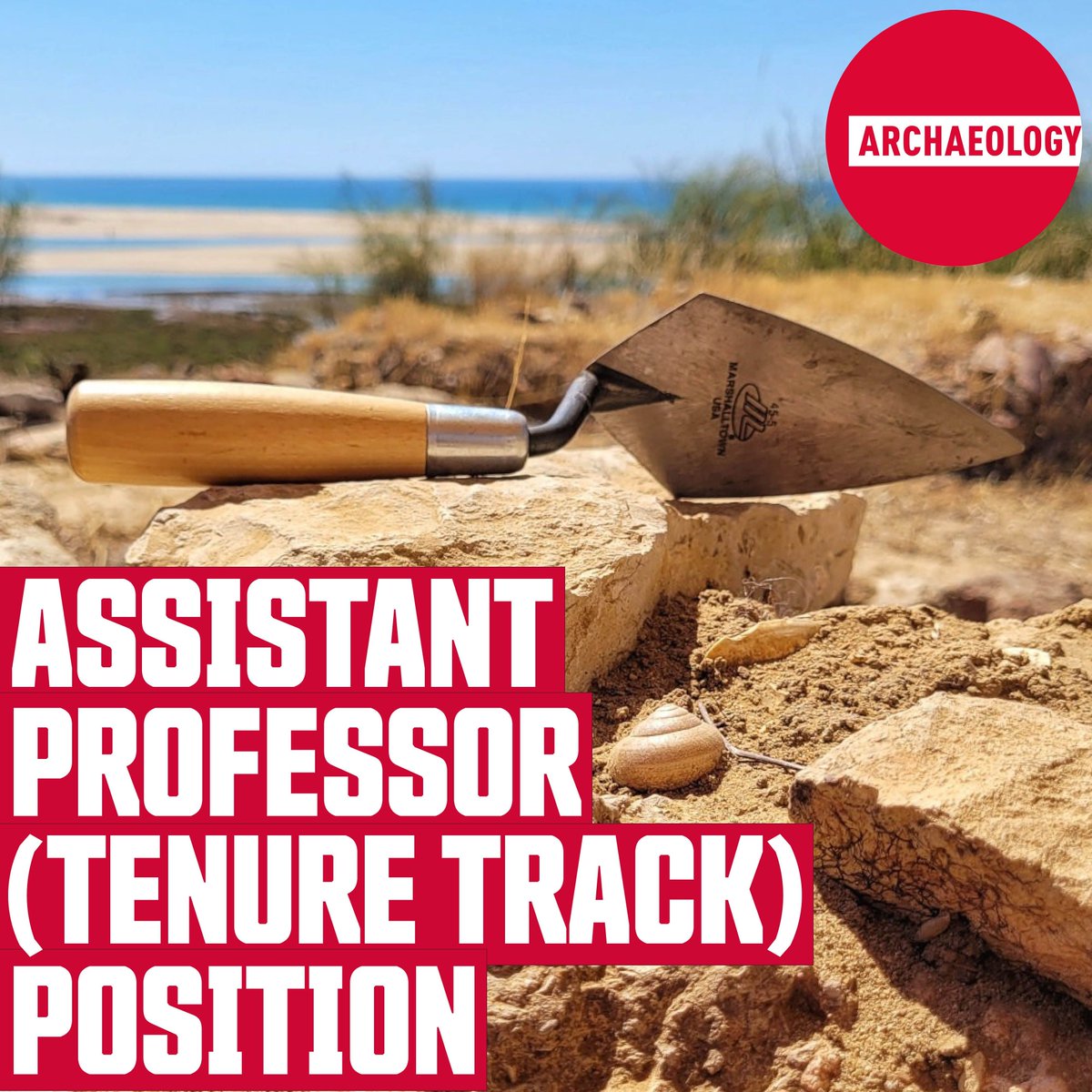 SFU Archaeology tweet media