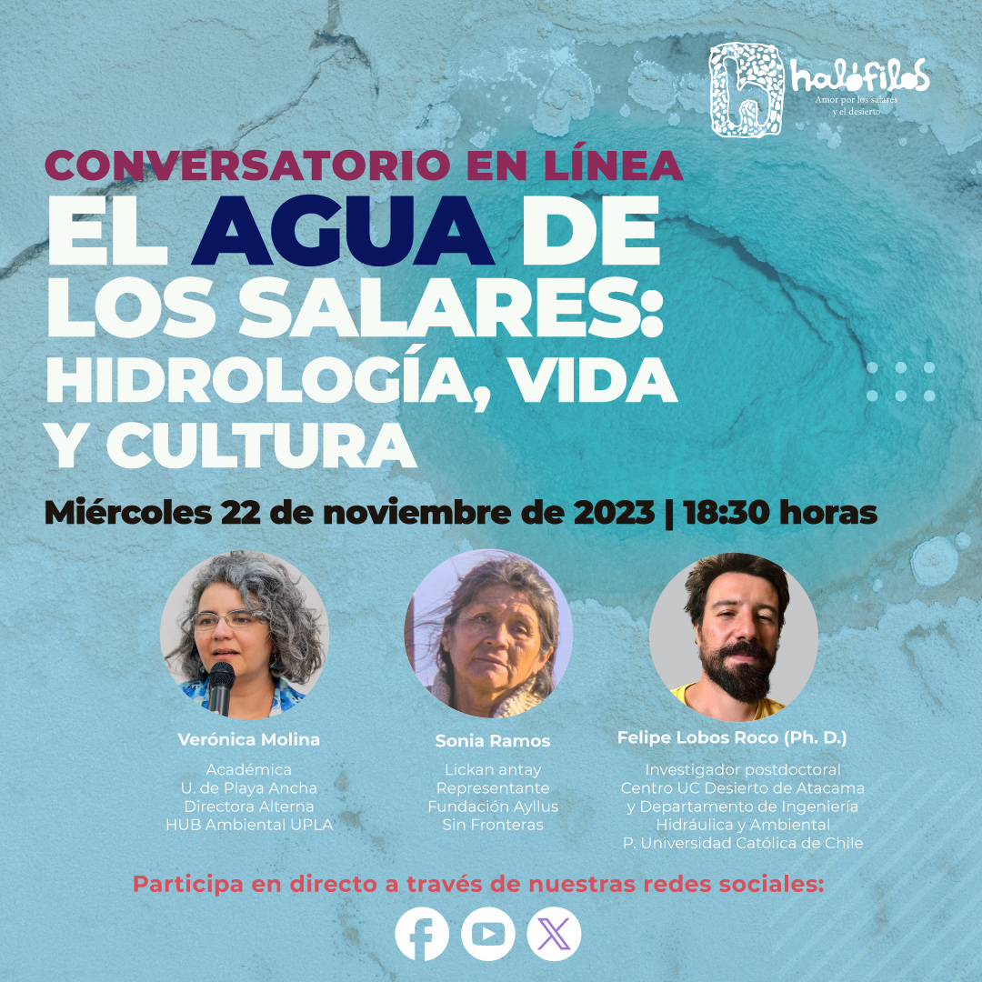 Halófilos tweet media