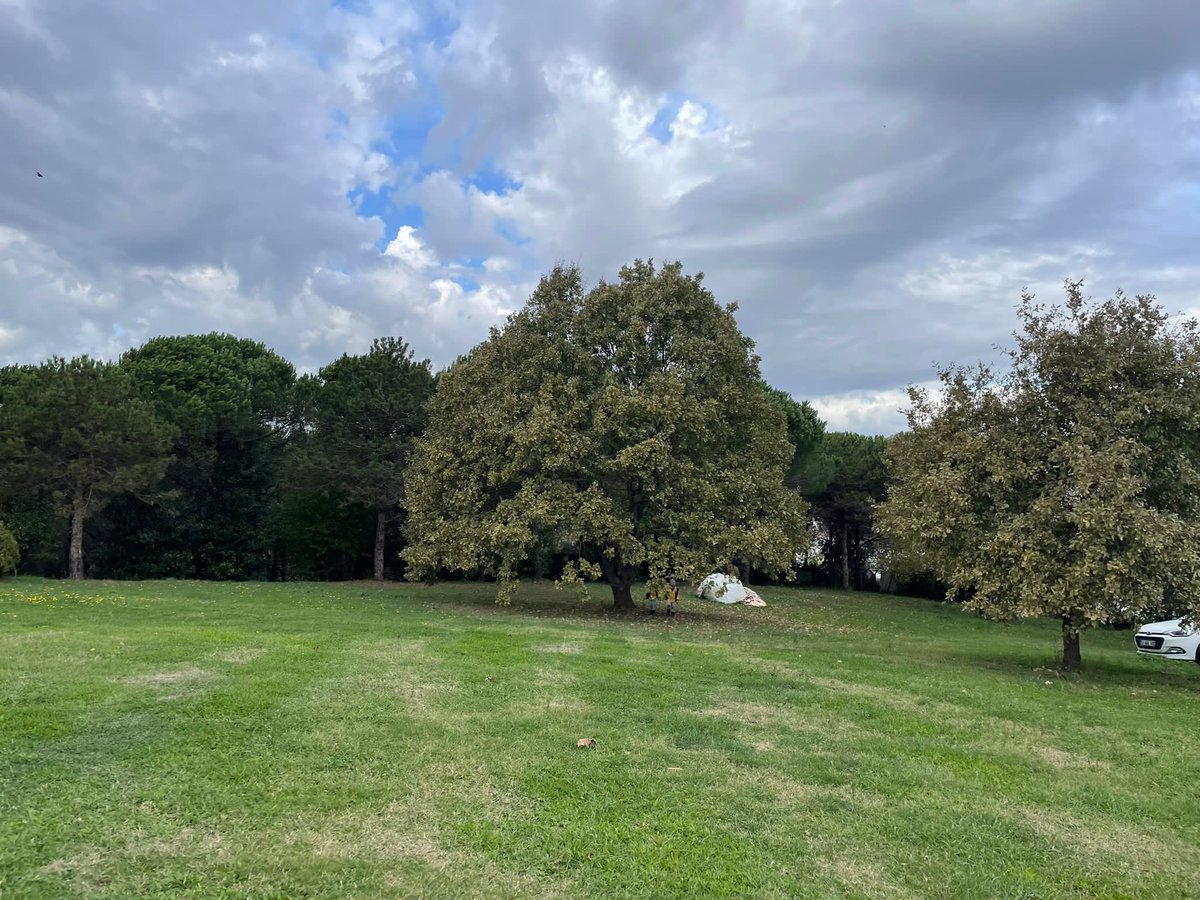 Çocuklarımıza sürekli doğayı nasıl mahvettiğimizi ve bu gidişle sonumuzun geldiğini anlatmamız ne yazık ki sorumluluk almalarını sağlamıyor. Çocuklarımızın doğayı korumaları için doğayla sağlıklı ve farkındalıklı bir bağ geliştirmeleri gerekiyor ve zaten gerisini onlar hallediyor