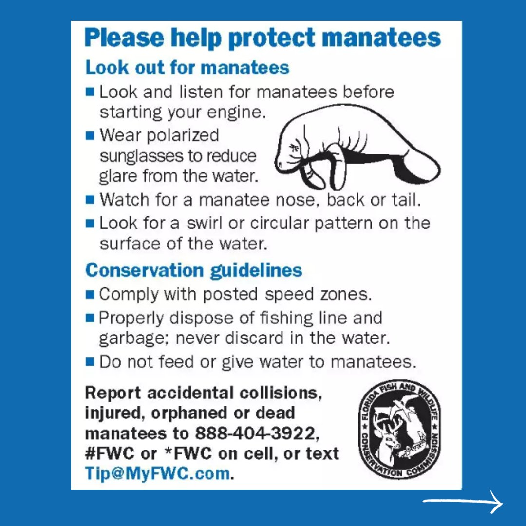 FLOceanographic's tweet photo. It's officially #manateemigration season. Here are ways you can help protect manatees while they move through our waters. Concerned about a manatee's health or safety? Contact @myfwc Report a manatee sighting to @savethemanatee. #ProtectManatees #ManateeConservation https://t.co/wCamOAbn5Y