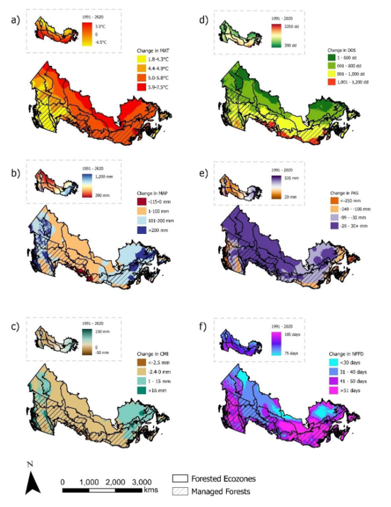 dr_spoon's tweet photo. New #Silva21 publication! 📢
Assessing future #ClimateTrends & implications for #ManagedForests across Canadian ecozones
🔓#OpenAccess: https://t.co/OnGOzQO7oN in @cdnsciencepub
✍️ Wotherspoon, Achim, Coops
💰 Silva21
@ubcforestry #ClimateChange #ForestManagement https://t.co/4iVDnAgoWC