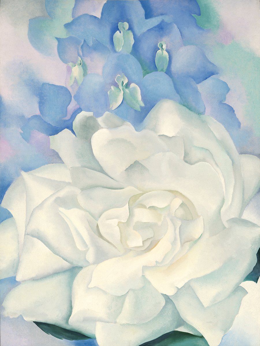 Georgia #OKeeffe made flowers monumental. Typically small, ephemeral and everyday, in her work they become a site for modernist experiments in scale and color. 

🎂 The artist was born #OnThisDay in 1887.

🖼️: "White Rose with Larkspur No. 2" (1927). © <a href="/ARSNewYork/">ARS</a>