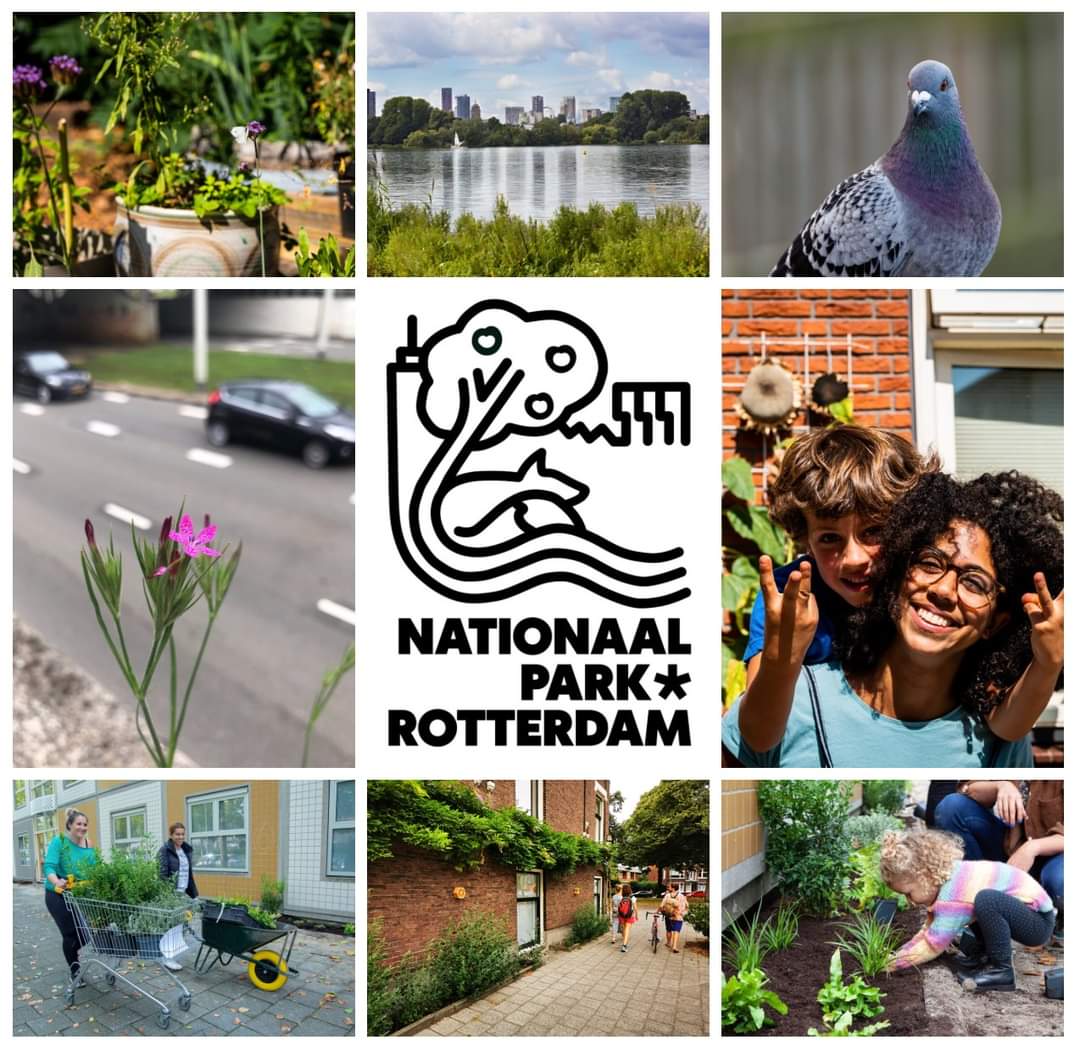 Parken010's tweet photo. Vrijdag 17 november #Stadsmakerscongres #smc23: sessie 'Naar 'n #NationaalPark #Rotterdam', 🌳 13.00 uur #Schouwburg. €20 (voor de hele dag+lunch) 📲: https://t.co/QapVj4ddXf.
👇
Werkatelier met initiatiefnemers @RotterdamNP, #stadmakers ontwerpers en de gemeente @rotterdam 🍀 https://t.co/K48rPyaEUT