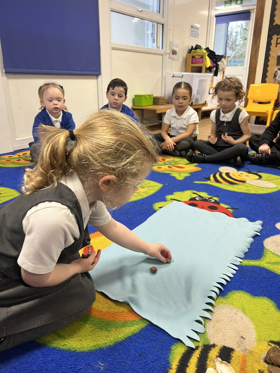 Shoreside Reception tweet media