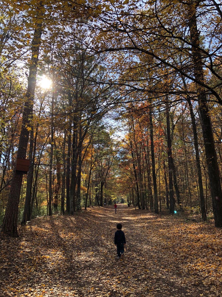 Austin Wheeler tweet media