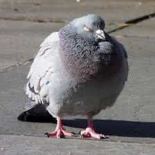 941 tweet media