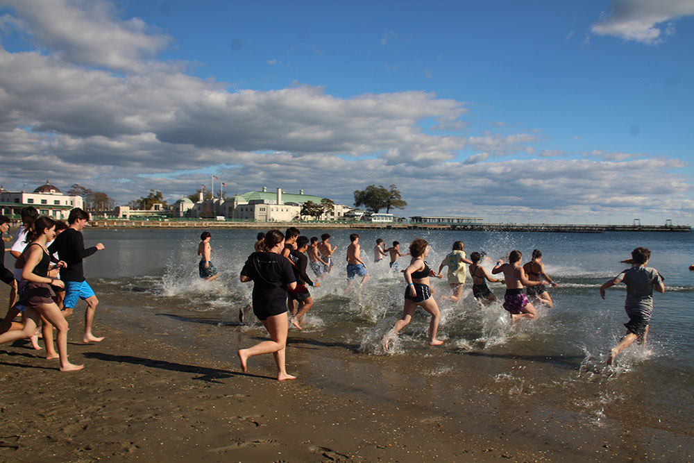 Bedford Central School District tweet media