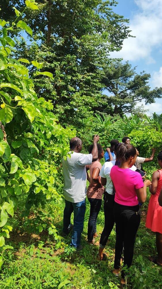 VoiceOfUESD_'s tweet photo. Students of UESD entering Level 300, undertaking their Community Based Experience Learning (CoBEL) Programme in Aseseeso, Bueyonye and Boti Pompomse, suburbs of Somanya, Yilo Krobo Municipality and Okere District, Eastern Region. Walk with UESD
#UESD23
#HOPE23
#CoBELexperience23 https://t.co/7OSKg2PDl3