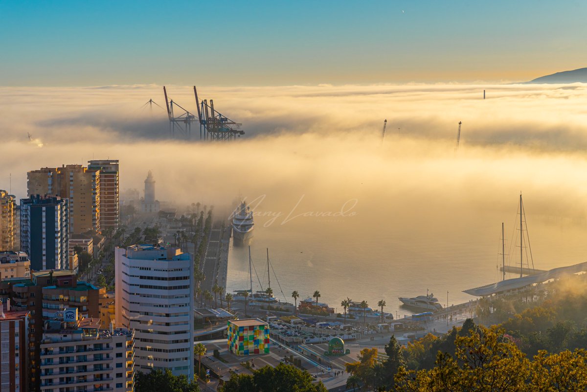 La combinación de luz y taró en Málaga, me vais a perdonar, es única. 

Estas corresponden a hoy 15/11/2023
