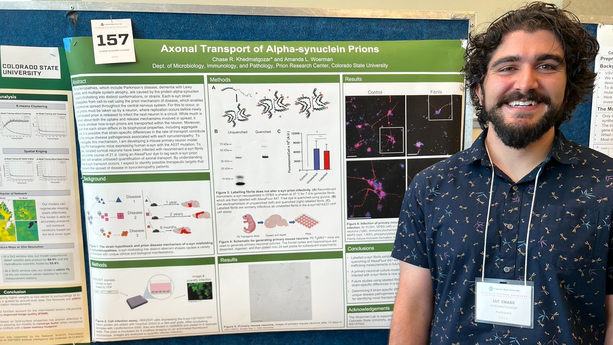 CSU_MIP's tweet photo. Proud to have such wonderful #CSU graduate students representing #MIP research at the 2023 Graduate Student Showcase today!
#GradShow2023 #GraduateResearch #PosterSession #PhDLife #Microbiology #Pathology #InfectiousDiseases #CSUResearch https://t.co/SVwaMTPIxg