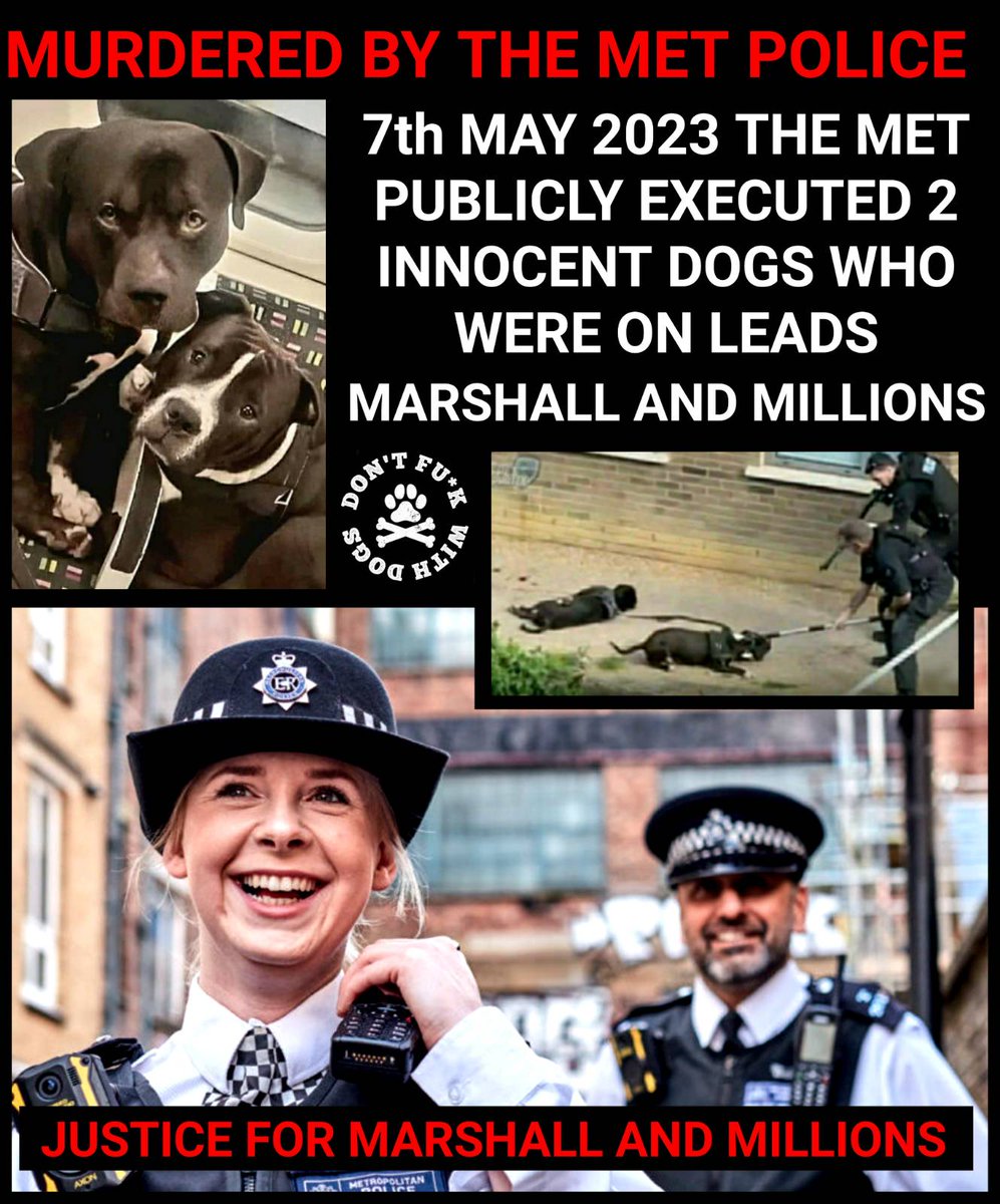 Iria0Aquarius0's tweet photo. #justiceformarshallandmillions
#dontfuckwithdogs https://t.co/K991TvhWul