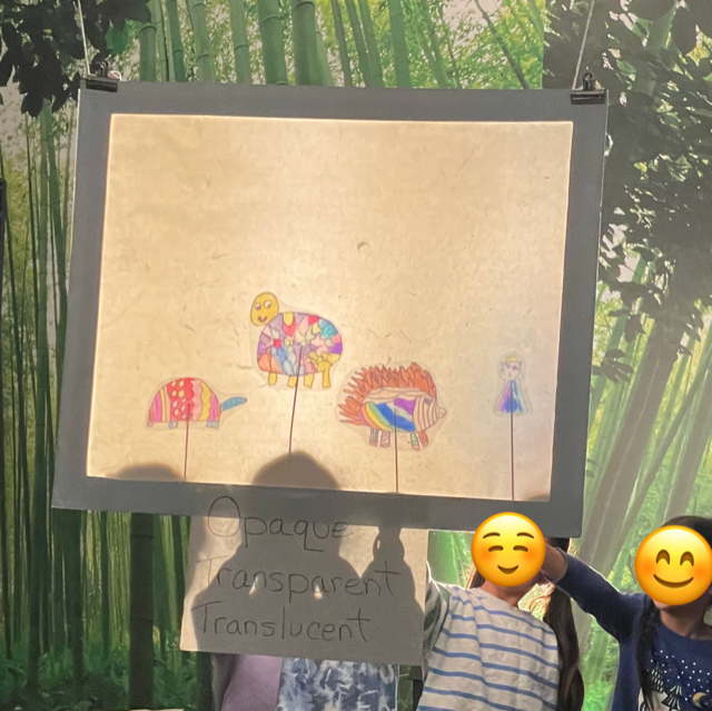First grade scientists had the best time this week learning about shadows, creating our own shadow puppets and exploring shadow theater with Ms. Kim! #WOschool #WeAreChappaqua