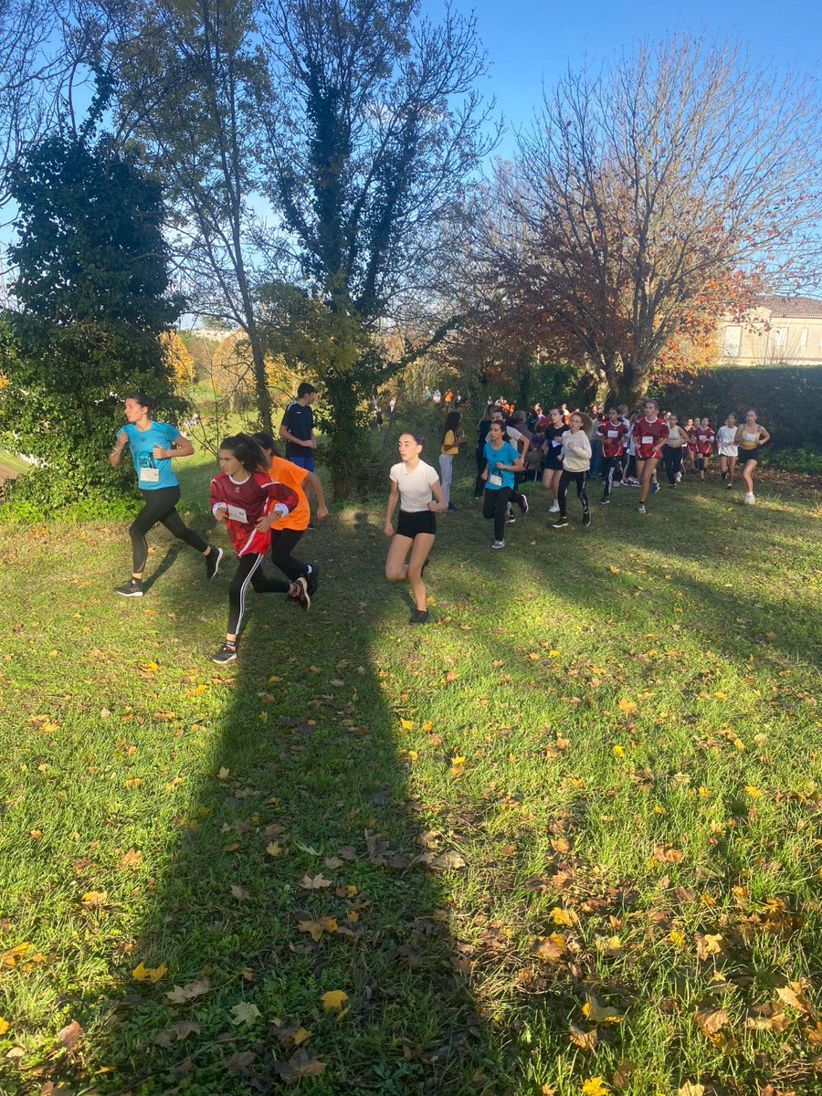 ClgJMonnet's tweet photo. Aujourd’hui 46 élèves étaient au Cross de Blaye 🏃‍♀️, résultats : 2 Benjamines aux 1ère et 3 ème places, 1 Minime fille à la 1ère place, 1 Minime garçon à la 3ème place et une 2 ème place par équipe mixte Benjamin et Minime ! Belle réussite et très beaux résultats ! 👏🏻@UNSSGironde https://t.co/vi8zm5fQMi