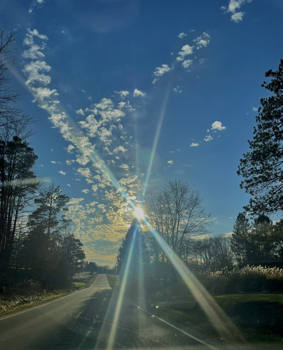 mpicsb's tweet image. 