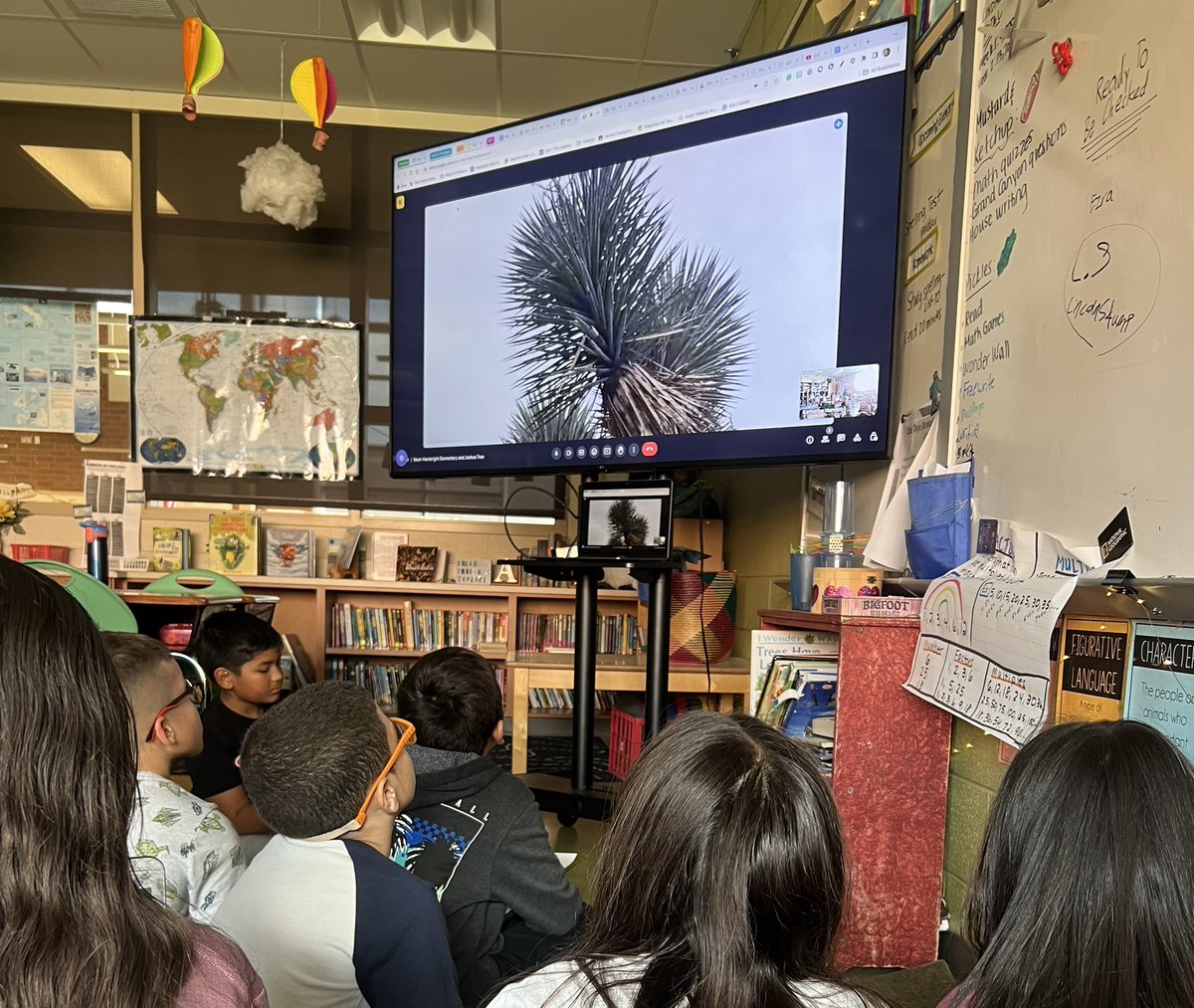 We’ve had an amazing #Skypeathon ! We visited an elephant sanctuary & learned about their adaptations, made new friends in Canada via #mysteryskype, and saw Joshua trees and cacti up close as we toured Joshua Tree NP with a park ranger!