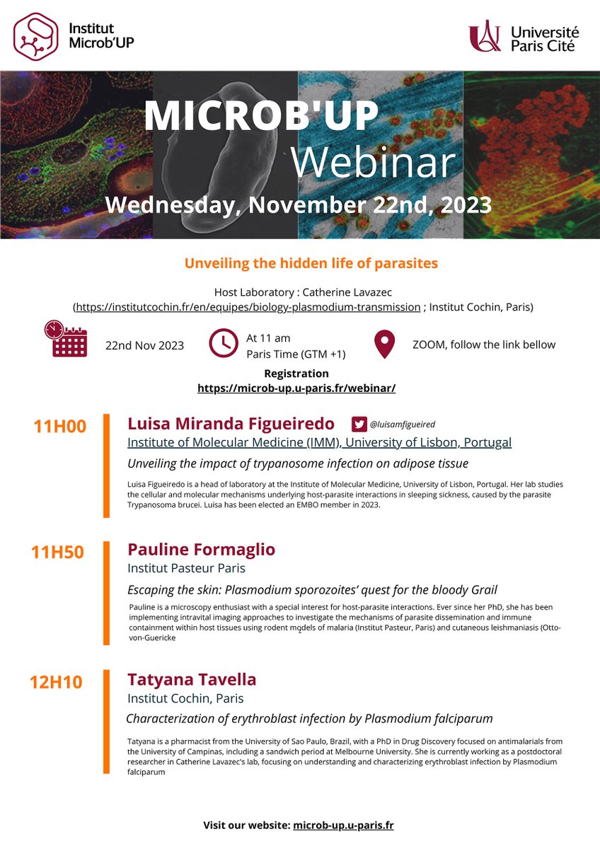 microbup's tweet photo. Do not miss the webinar:  Unveiling the hidden life of parasites  ⏰Nov 22, 11:00 am (Paris Time)
📷https://t.co/8oDsEDGxnA
@luisamfigueired
@catlavazec
@institutpasteur

@InstitutCochin
@ParaFrap @Inserm @CNRSbiologie @univ_paris_cite https://t.co/XF49IMUEJf