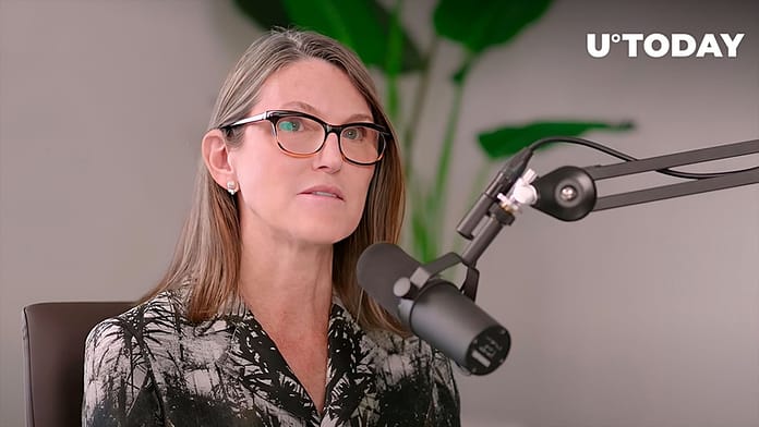 P. Jonathan Wilcheck tweet media