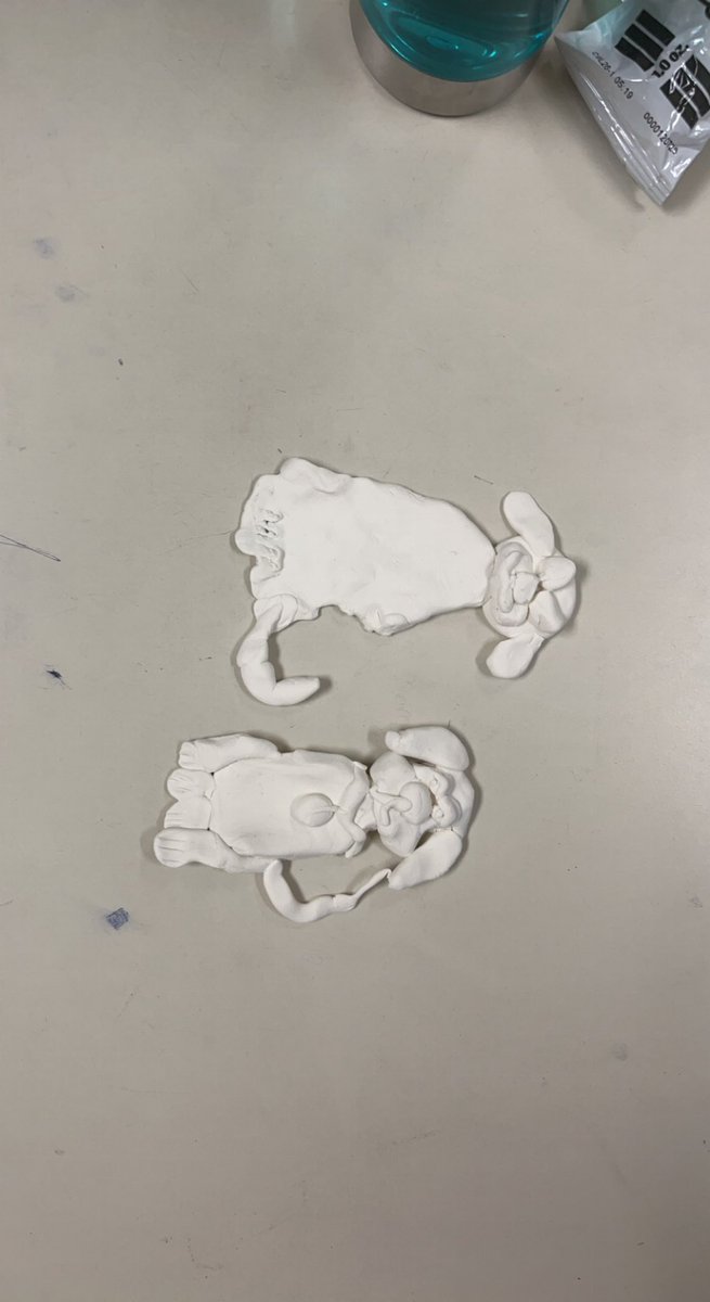 BPSHawks3 tweet media