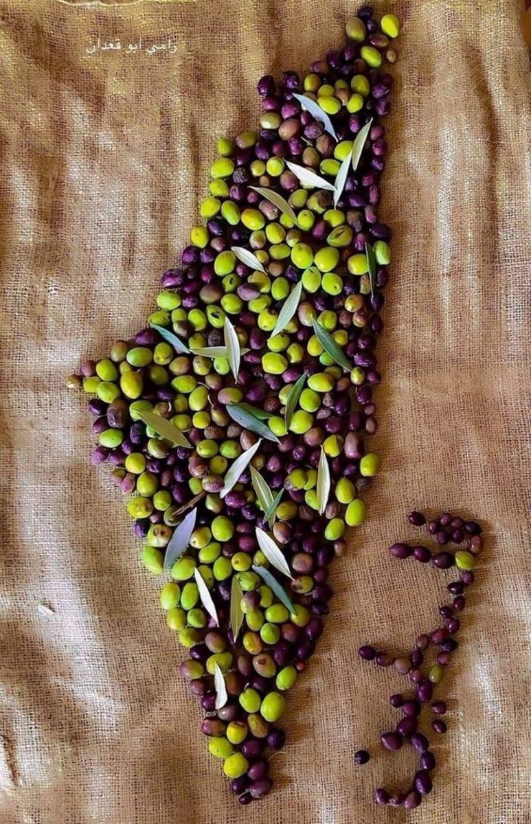 " From the sea to the river " 🇵🇸