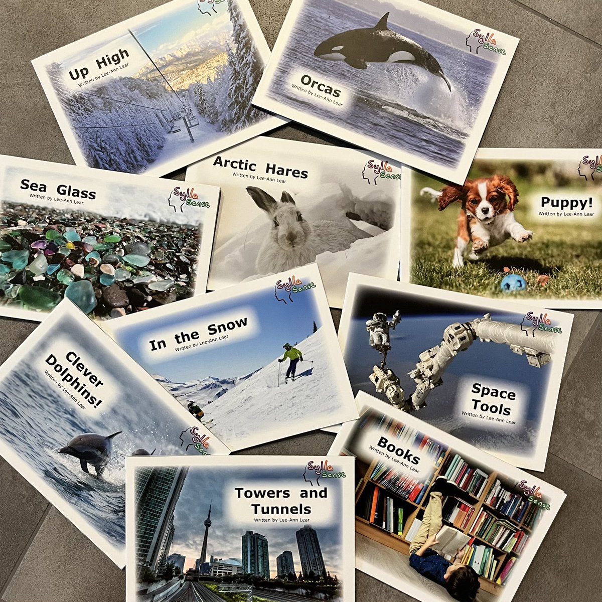 MrsMorrow07's tweet photo. 📖 SyllaSense Teal &amp; Red series! 

♥️Excited to add these new stories to our decodable readers collection.   

#Literacy #DecodableReaders #edutwitter #SyllaSense https://t.co/FeVmh5y5EE