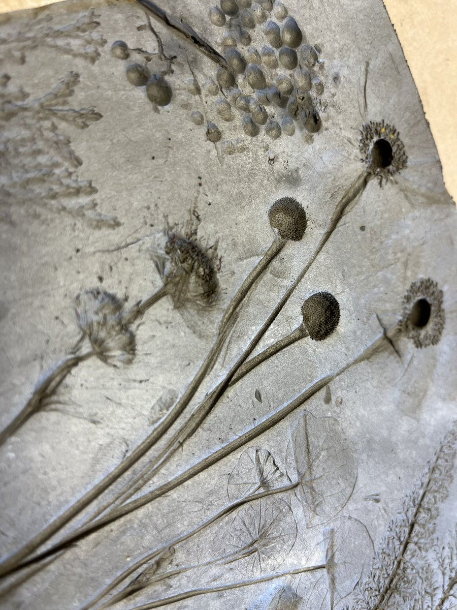 kerry_truman's tweet image. another outing for #NTUmakers today alongside the excellent @NTUcreated.. we were also joined by the @NTUSustTeam who hosted the pre-session nature forage for all those exciting things to use in our clay tile mark making session..!? there were some super creations.. #sharetolearn