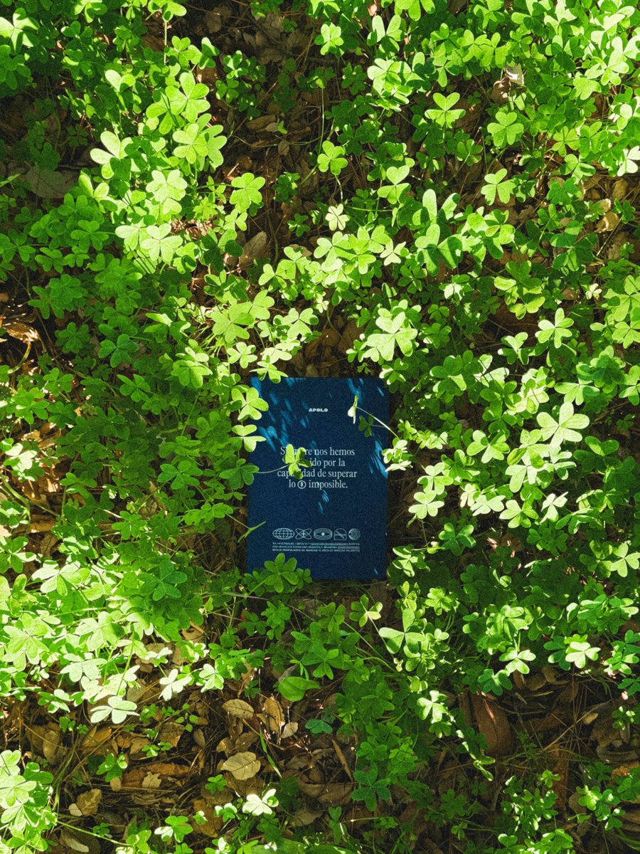 sergio_branding's tweet image. Día 3. #HorizonCamp 

@apolobranding