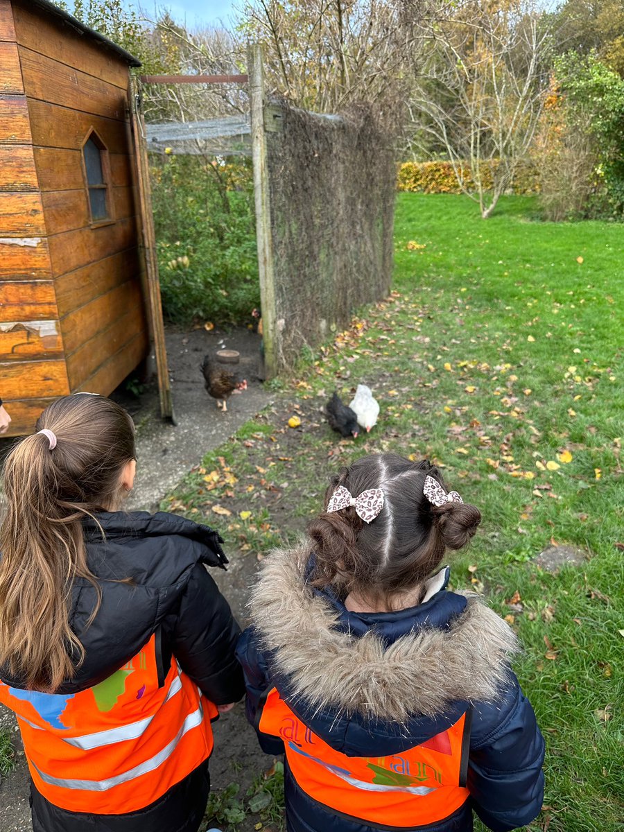 schoolaliman3's tweet photo. Gisteren was de boerderijexcursie voor groep 1b een groot succes! Een leerzame dag waarin ze niet alleen genoten van het bakken, maar ook leerden over de herkomst van ingrediënten en de fascinerende wereld van de boerderij. #boerderij #burgerschap #bakken https://t.co/u6T7DO5W6N