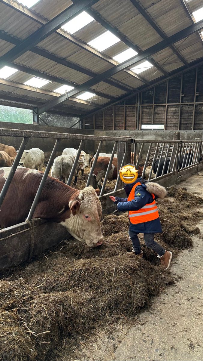 schoolaliman3's tweet photo. Gisteren was de boerderijexcursie voor groep 1b een groot succes! Een leerzame dag waarin ze niet alleen genoten van het bakken, maar ook leerden over de herkomst van ingrediënten en de fascinerende wereld van de boerderij. #boerderij #burgerschap #bakken https://t.co/u6T7DO5W6N