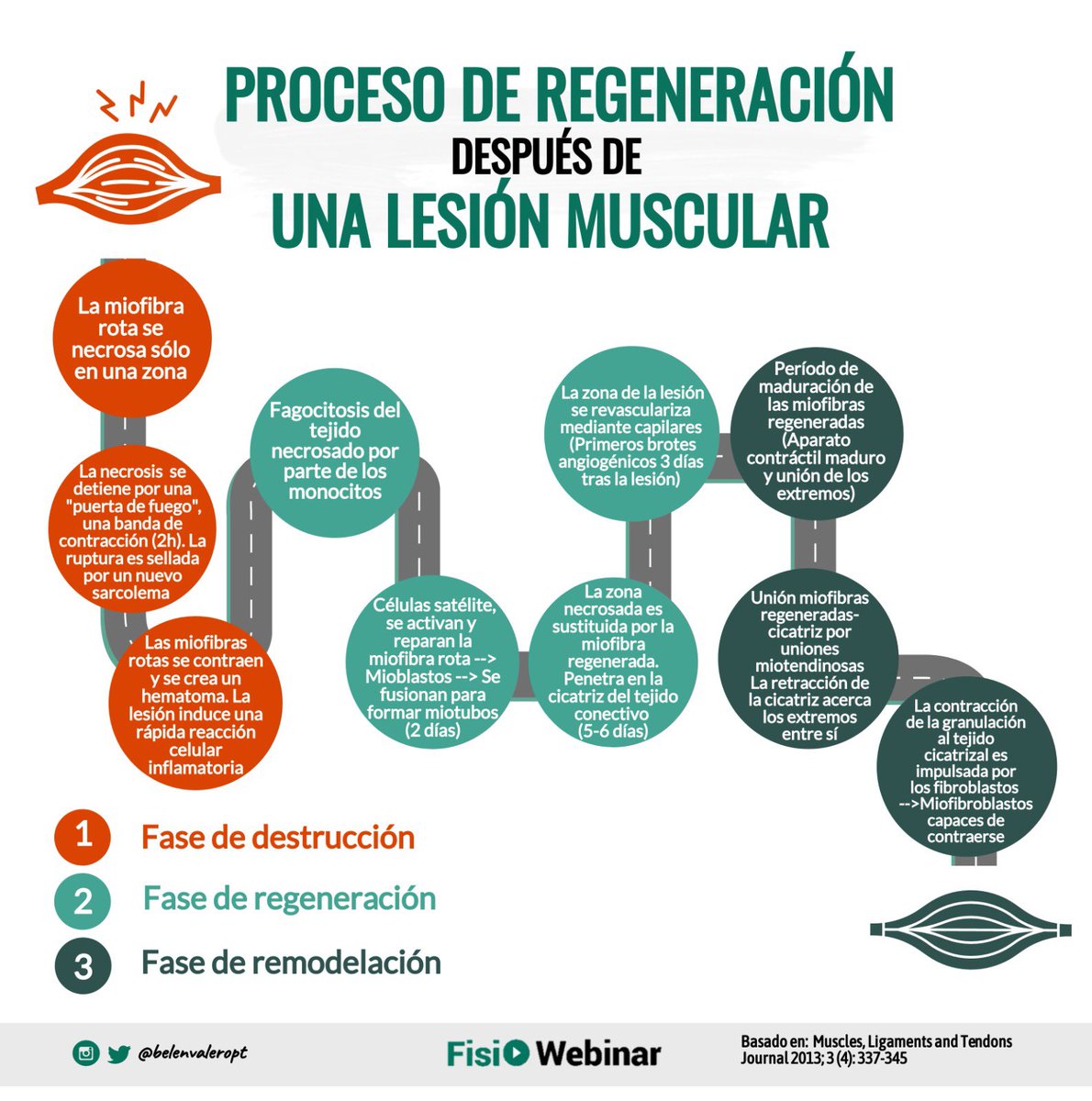 FisioWebinar tweet media