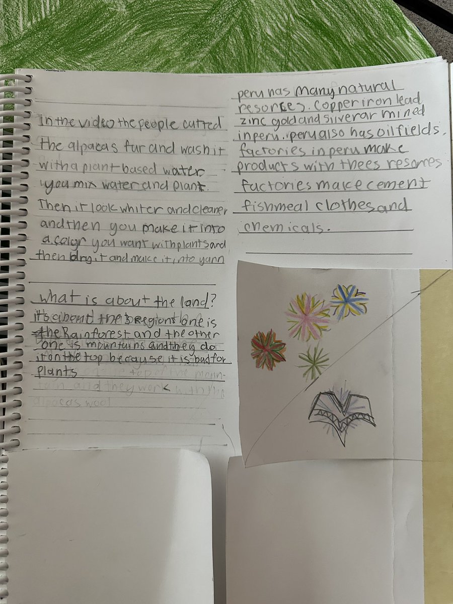 BPSHawks3 tweet media