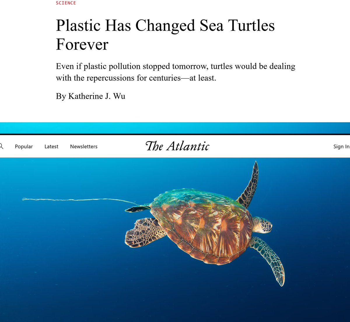 We've used plastic for only a century but polymers produced in the 1940s, when plastics entered mass production, are still with us today. We don't know how long they'll last. Meanwhile they are killing sea turtles. #ResistanceEarth #wtpEARTH #BlueEarth theatlantic.com/science/archiv…