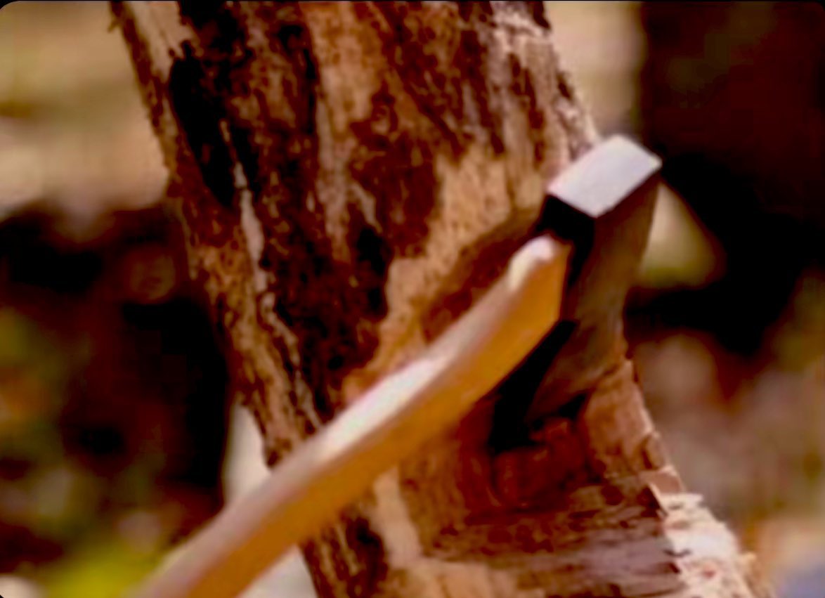 مايوجع الشجره قسى ضربة الفاس
أكبر وجعها؟؟ إن العصا من خشبها