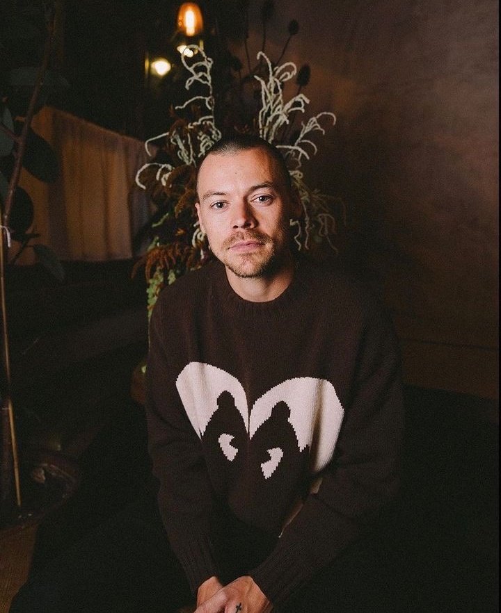 sweetcreaturebk's tweet photo. miren que yo me imaginé pasar por cualquier cosa este año pero ver a Harry pelado nunca , no proceso https://t.co/jt4Iac8qoK