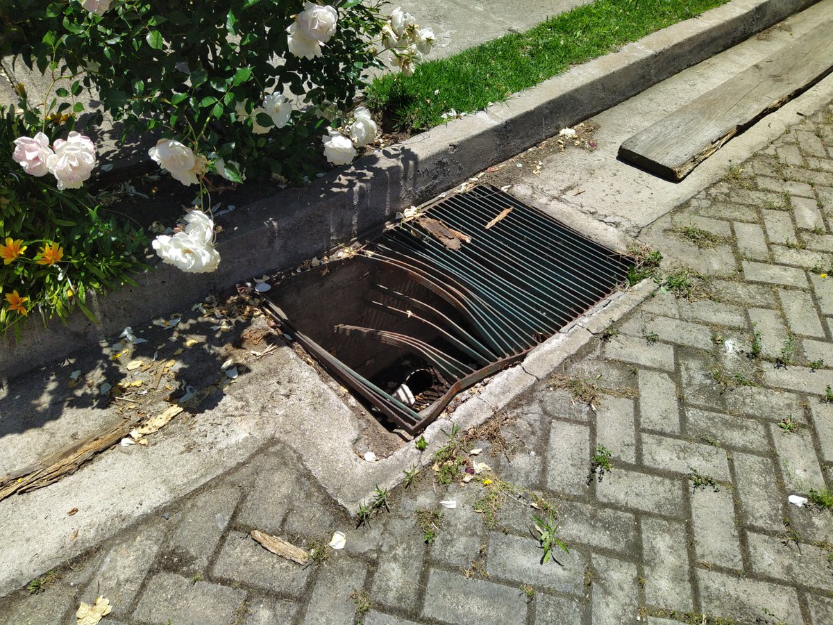 JavierEscobar's tweet photo. @vinadelmar esta tapa de alcantarillado en Lusitania es un enorme riesgo para la seguridad de todos en el sector. Un niño podría caer dentro fácilmente. Vecinos cubren con tablas para estacionar autos. Por favor debe ser cambiada! #MunicipioDeCuidados #ViñaDelMar https://t.co/6Edg56Ywga