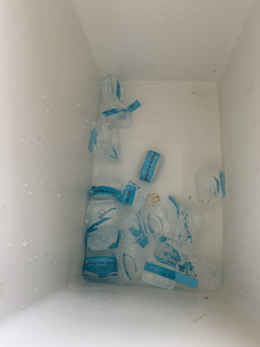 Dr. Cara Dawes tweet media