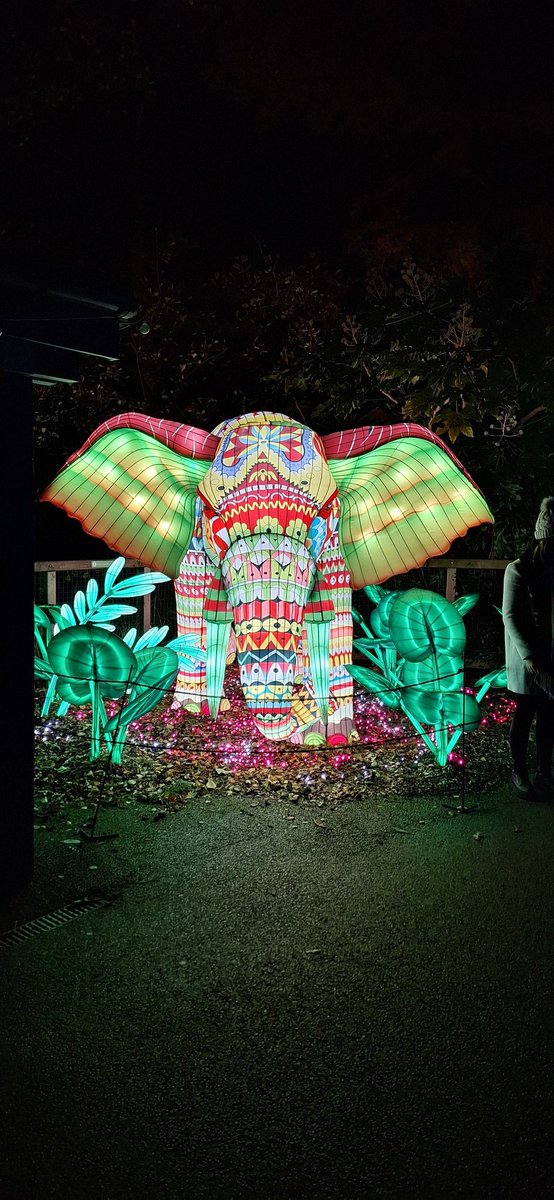 Photos will never do this justice...but last night, Wild Lights at Dublin Zoo was magical. I'm never  sure how John will react to new experiences- but this was perfect!  Even the music was spot on. Thank you <a href="/DublinZoo/">Dublin Zoo</a> #wildlights