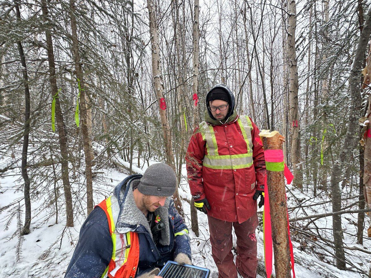 CarbonEthic Group of Vancouver setting up Starlink the data we collected to be sent to our tech team. They create digital twins out of thousands of hectares of woodlands, and we use that data to create carbon credits.