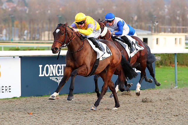 Stéphanie Nigge tweet media