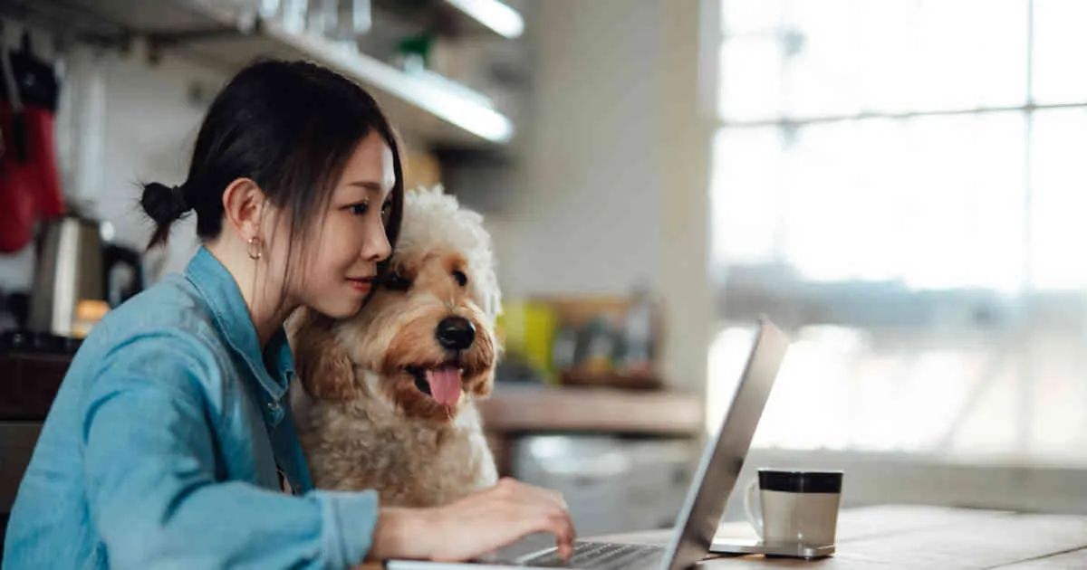 Like any e-commerce business, dropshipping has challenges its operator must overcome. Devise a comprehensive business strategy that includes a profitable niche and refutable suppliers to increase your odds of dropshipping success: buff.ly/3rNMRAW #dropshipping #sales