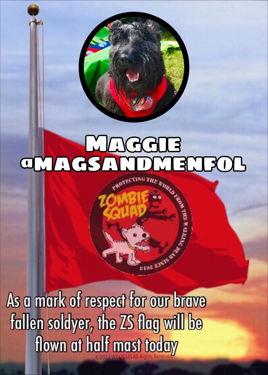 ZombieSquadHQ💖💚🧡💚🩵© tweet media