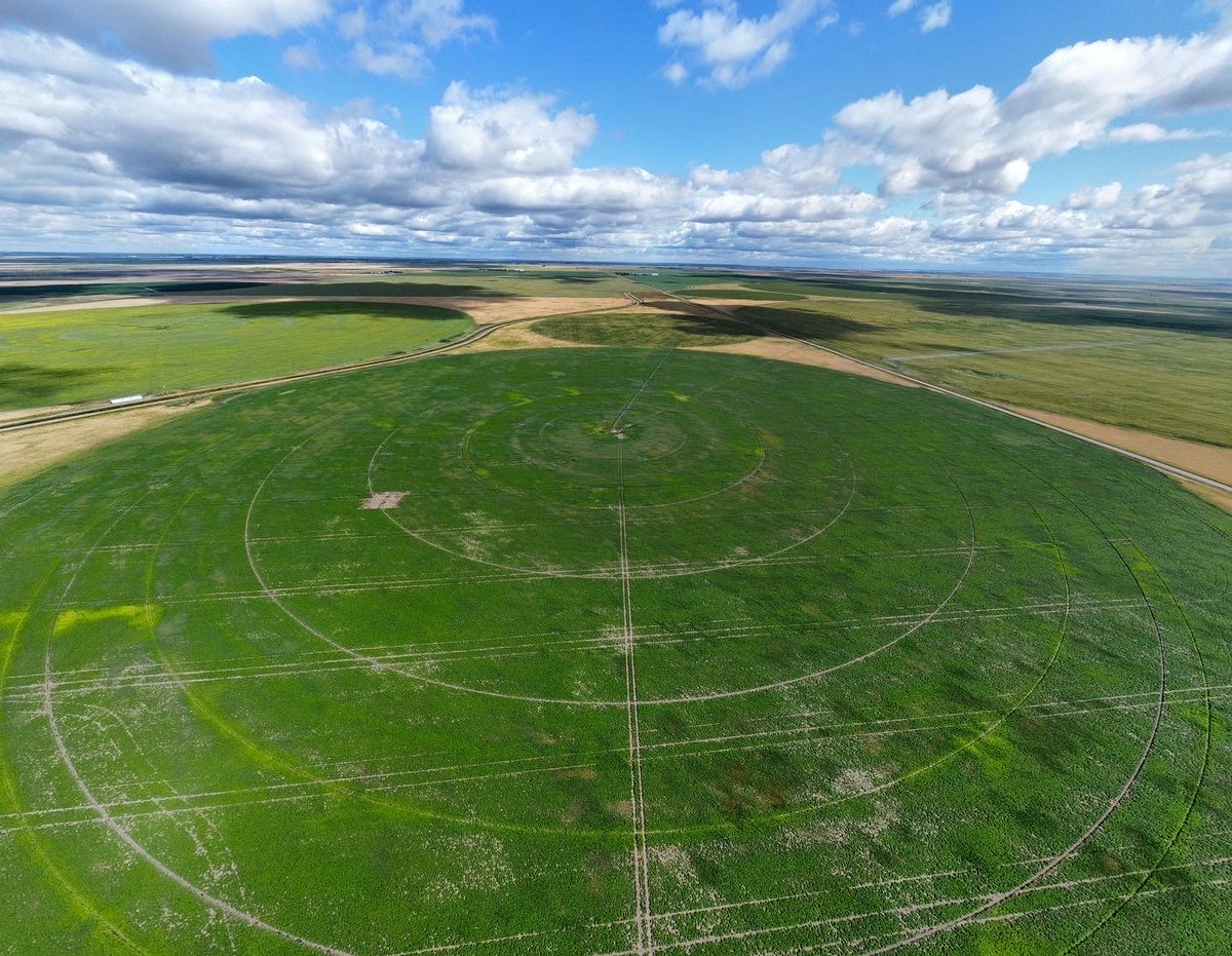 agbiousask's tweet photo. Register now for the new Sustainable Irrigation program at #USask!

This program is designed for agronomists, agrologists, producers, engineers and anyone who is interested in decision making in irrigated agriculture.

Learn more > https://t.co/11JHiYVZAl https://t.co/EJ363rIaqH