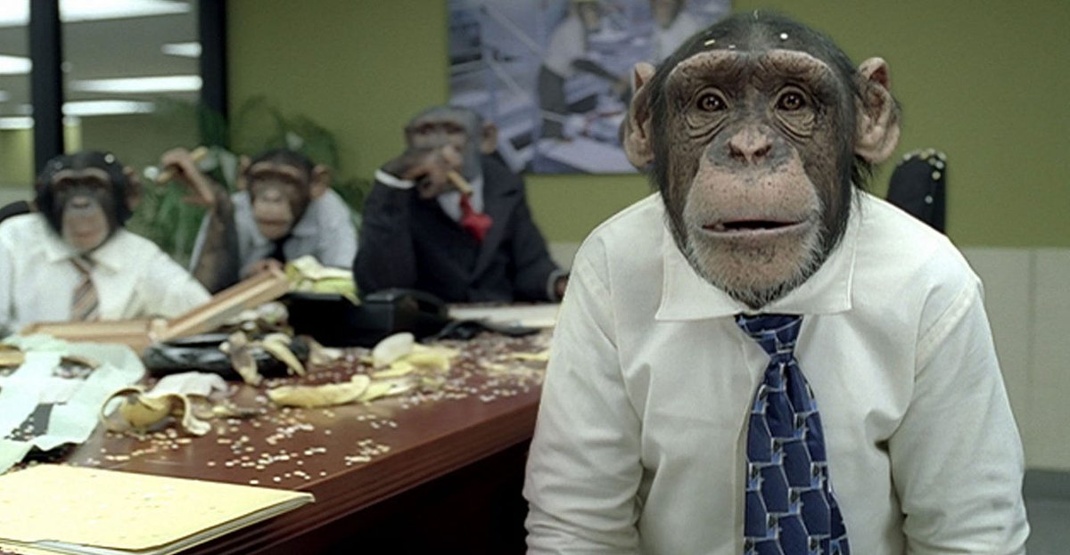 OneNineBooks's tweet image. Busy day of trades for CHAM's front office. The boys were excited to no longer be tied to Brandon Staley, but then they realized the team's hopes are now in the hands of Matt Eberflus. #MakingItFun #FearCHAM