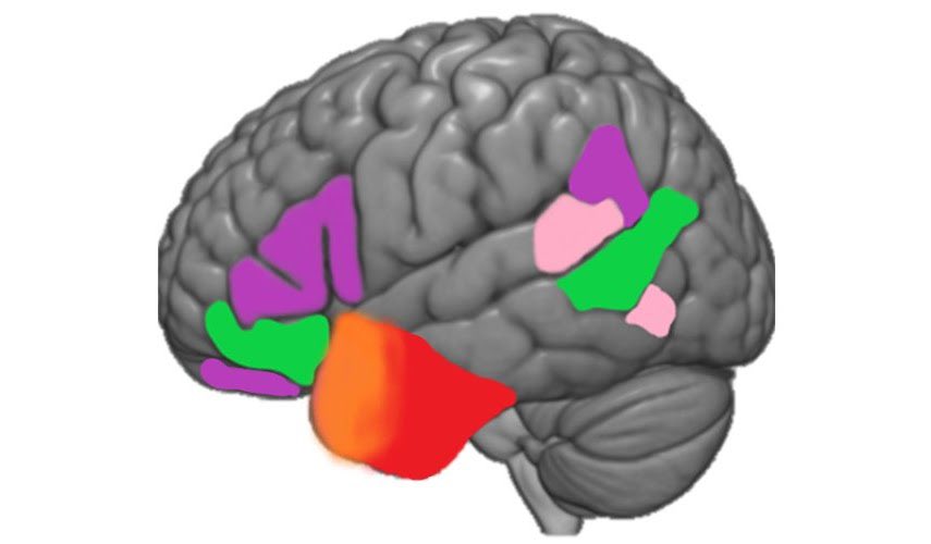 If you or someone you know would like to do a fully funded PhD on semantics, social knowledge, brain connectivity, or object recognition, please get in touch via my institutional email. Proposal deadline 12th January.