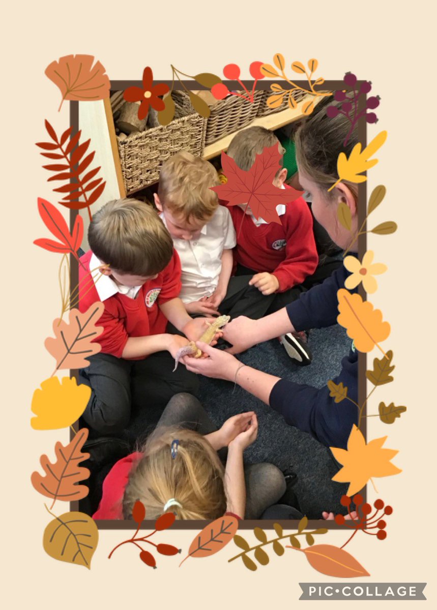 Year 1 enjoyed their @AnimalsTakeOver workshop this afternoon. They were able to hold and observe such a variety of creatures. A wonderful start to their new science topic. 🦉🦔🐀🐍🦎