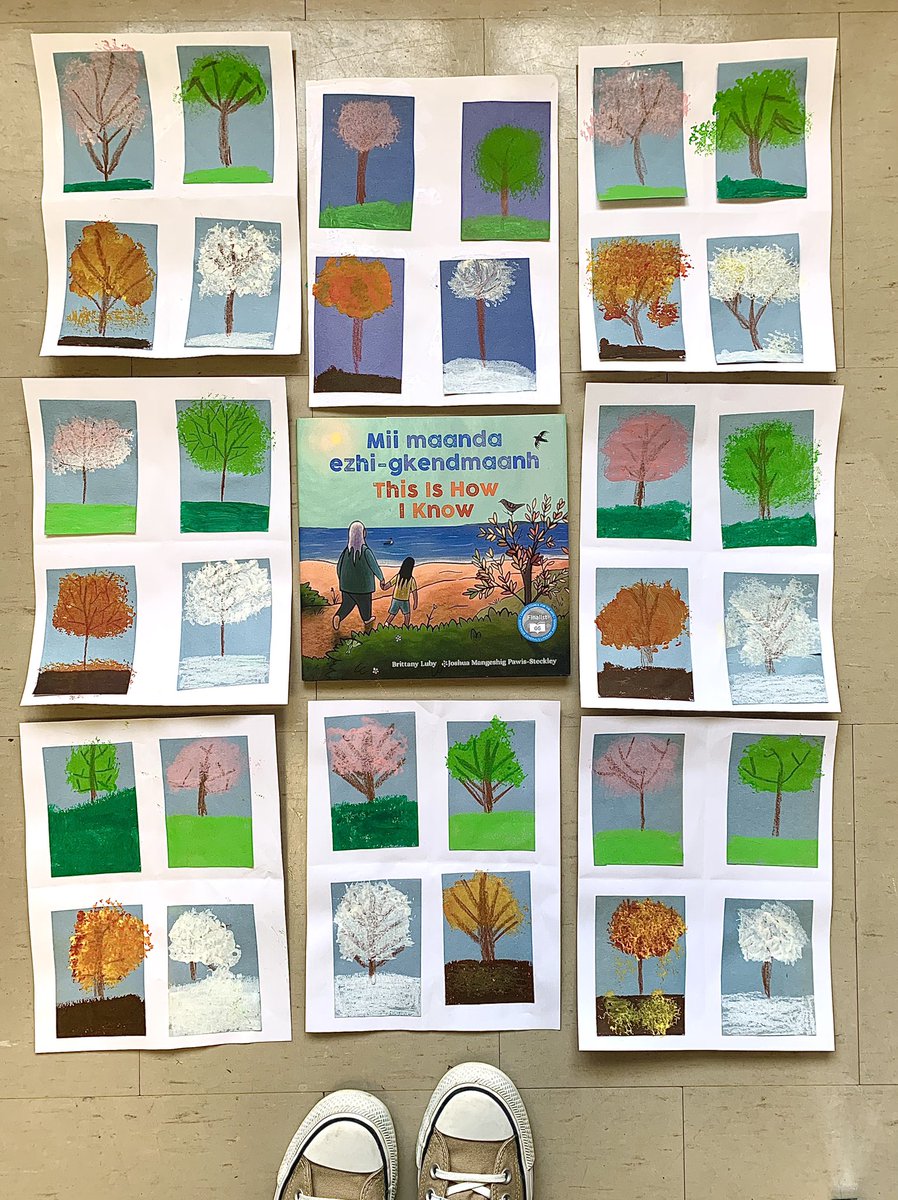 We’re reading ‘Mii maanda ezhi-gkendmaanh / This Is How I Know’, discussing seasonal changes &amp; creating sponge painted trees in Grade 1