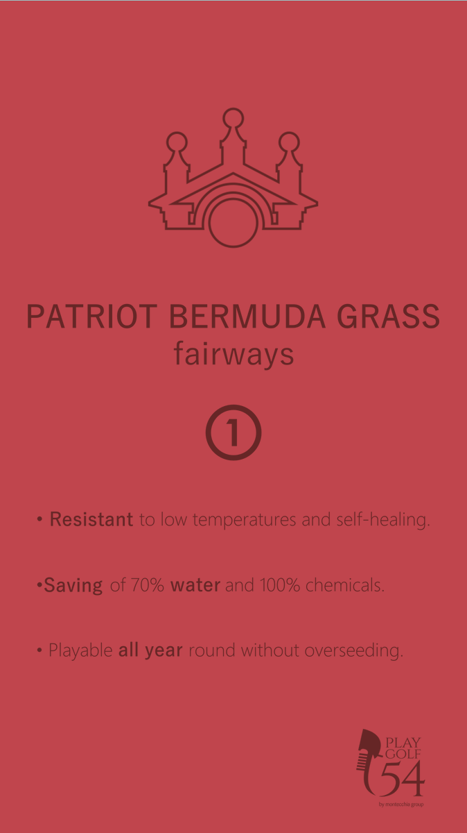 montecchiagroup's tweet photo. Know more about our #greencourse. We are creating sustainable #golf for the future. https://t.co/XjAmBKxtdk