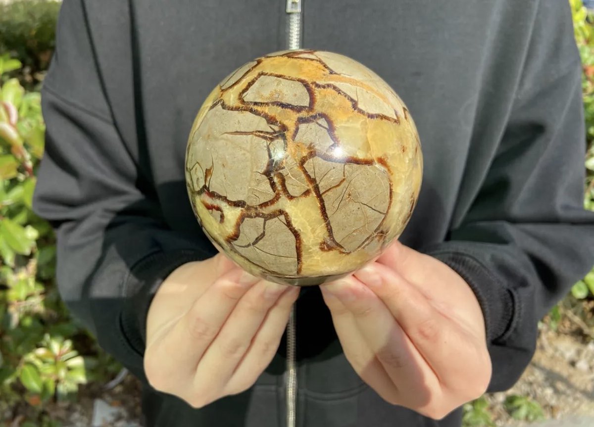 DruzyDazed's tweet photo. 4lb UV reactive Septarian sphere on the way!😳🤗 Will be available for sale soon!👀 Follow our Facebook page linked below!⬇️
https://t.co/jJk0p4BFxf

#septarian #septariansphere https://t.co/hZsLCRkfj3