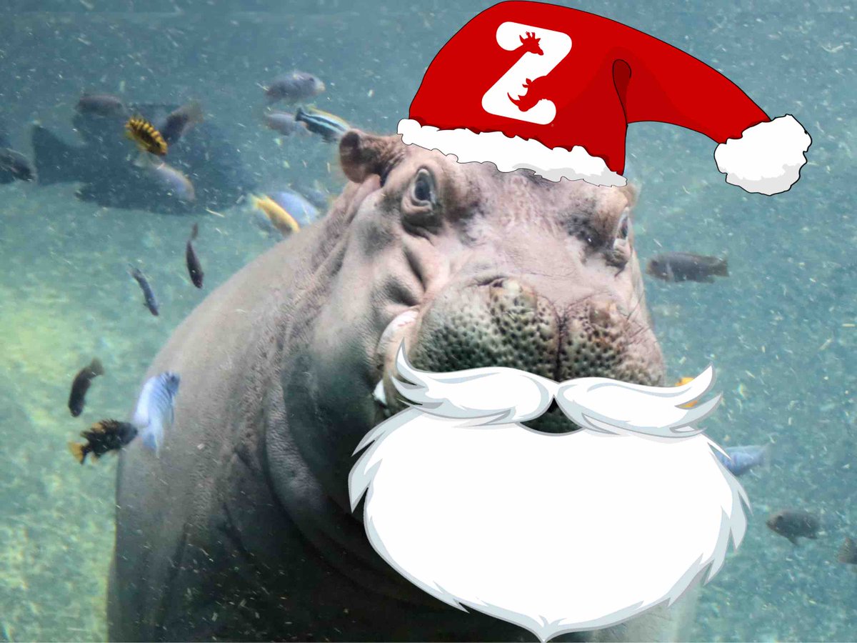 SAKiddiePark's tweet photo. Have you voted for Zoo Lights, Powered by CPS Energy, in the 2023 USA Today 10Best Readers’ Choice travel awards today?

Please vote daily and help us secure the top spot in this prestigious award! Vote at https://t.co/hGXWBfE3Ik https://t.co/CXhTten9oF