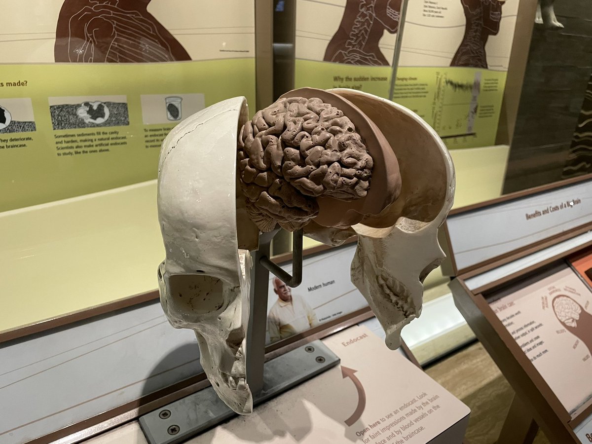 Jeff_P_Goff's tweet photo. It’s not “skipping the conference” it’s just “finding a well rounded neuro education” https://t.co/YnZU3znHX1