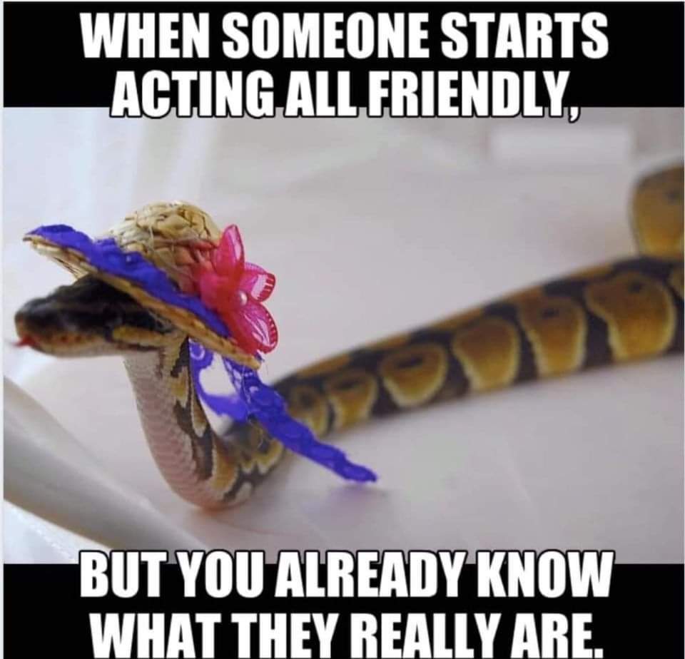 Airfemale14's tweet photo. Yep! #TheSnake π
#WednesdayWarning https://t.co/fPqO9w0Kep